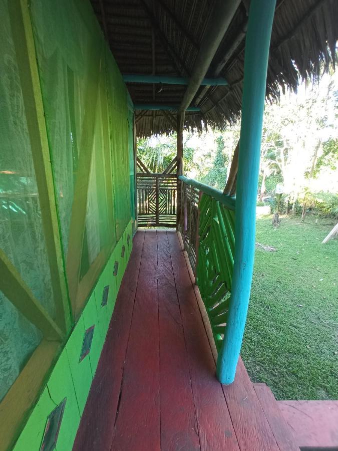 Hostal Buho Amazonas Tours Летисия Екстериор снимка