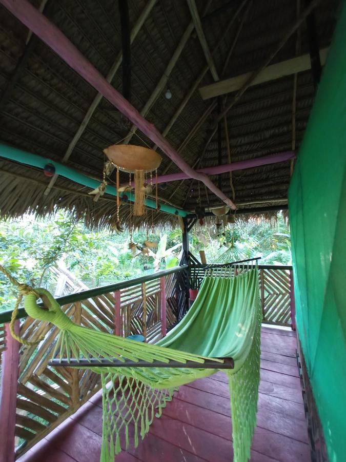 Hostal Buho Amazonas Tours Летисия Екстериор снимка